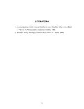 Herakleito, sofistų ir Sokrato minčių apie grožį palyginimas 9 puslapis