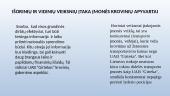 UAB „Girteka“ įmonės veiklos valdymo analizė 12 puslapis
