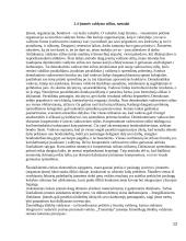 Įmonės „Transmėja“ vadybinė analizė 12 puslapis