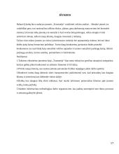 Įmonės „Transmėja“ vadybinė analizė 17 puslapis