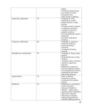 Įmonės „Transmėja“ vadybinė analizė 19 puslapis