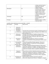 Įmonės „Transmėja“ vadybinė analizė 20 puslapis