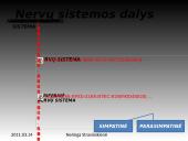 Nervinis organizmo funkcijų reguliavimas 18 puslapis