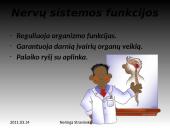 Nervinis organizmo funkcijų reguliavimas 3 puslapis