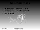 Nervinis organizmo funkcijų reguliavimas 9 puslapis