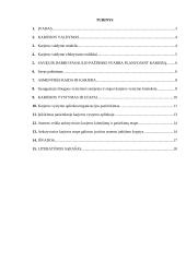 Karjeros valdymas psichologiniu aspektu 2 puslapis