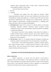 Karjeros valdymas psichologiniu aspektu 11 puslapis