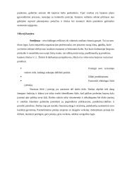 Karjeros valdymas psichologiniu aspektu 16 puslapis