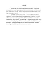 Karjeros valdymas psichologiniu aspektu 3 puslapis