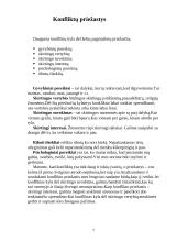 Kas yra konfliktas? 4 puslapis