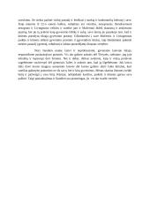 Ar pasiaukojimas ir šiandien prasmingas? (Krėvė, Mačernis) 2 puslapis