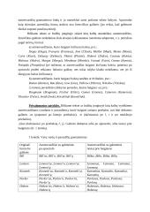 Paskaitų ir pratybų konspektas. Nelietuviškų vardų rašymas ir kt. 3 puslapis