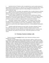 Terminų teorija 2 puslapis