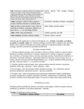 Terminų teorija 11 puslapis