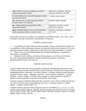 Terminų teorija 12 puslapis