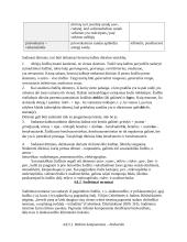 Terminų teorija 14 puslapis