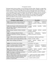 Terminų teorija 10 puslapis