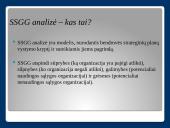 SSGG analizė Amazon, Inc. 2 puslapis