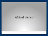 SSGG analizė Amazon, Inc. 11 puslapis