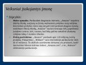 SSGG analizė Amazon, Inc. 4 puslapis