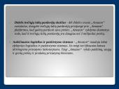 SSGG analizė Amazon, Inc. 5 puslapis