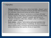 SSGG analizė Amazon, Inc. 6 puslapis