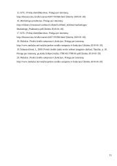 Prekių identifikavimo samprata 13 puslapis