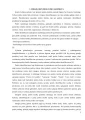 Prekių identifikavimo samprata 4 puslapis