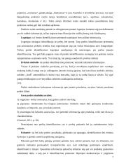 Prekių identifikavimo samprata 7 puslapis