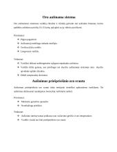 Automobilių aušinimo sistema ir jos paskirtis 4 puslapis