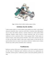 Automobilių aušinimo sistema ir jos paskirtis 8 puslapis