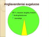 Angliavandenių chemija, apykaitos tyrimai, diagnostinis vertinimai 2 puslapis