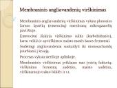 Angliavandenių chemija, apykaitos tyrimai, diagnostinis vertinimai 11 puslapis