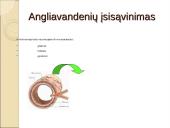 Angliavandenių chemija, apykaitos tyrimai, diagnostinis vertinimai 12 puslapis