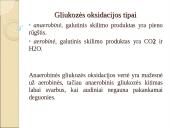 Angliavandenių chemija, apykaitos tyrimai, diagnostinis vertinimai 20 puslapis