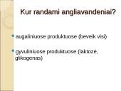Angliavandenių chemija, apykaitos tyrimai, diagnostinis vertinimai 3 puslapis