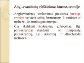 Angliavandenių chemija, apykaitos tyrimai, diagnostinis vertinimai 8 puslapis