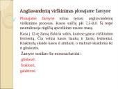 Angliavandenių chemija, apykaitos tyrimai, diagnostinis vertinimai 10 puslapis