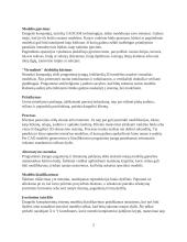 Kompiuterizuotas drabūžių kūrimas 2 puslapis