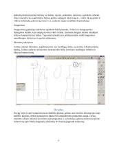 Kompiuterizuotas drabūžių kūrimas 6 puslapis