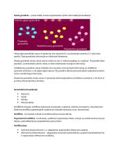 VU Vadybos konspektas 18 puslapis