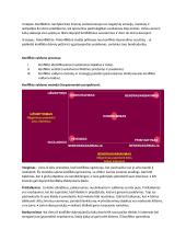 VU Vadybos konspektas 20 puslapis