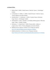 Biudžeto procesas 11 puslapis