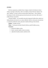 Biudžeto procesas 3 puslapis