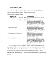 Biudžeto procesas 4 puslapis