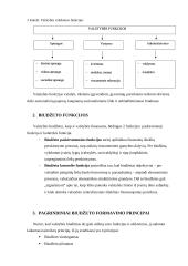 Biudžeto procesas 5 puslapis