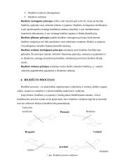Biudžeto procesas 6 puslapis