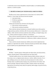 Biudžeto procesas 9 puslapis