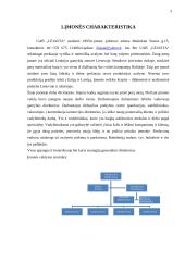 UAB "Lejasta" įmonės problemos, jų priežastys ir sprendimo būdai 3 puslapis