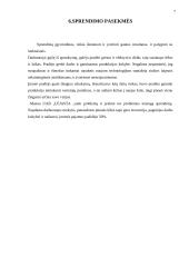 UAB "Lejasta" įmonės problemos, jų priežastys ir sprendimo būdai 7 puslapis